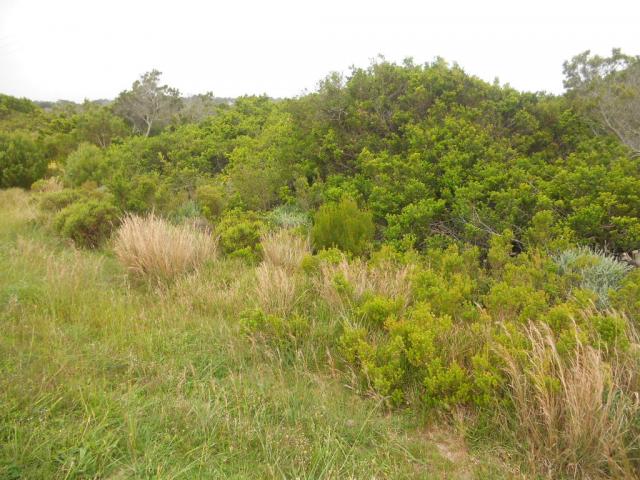 Front View of property in Humansdorp
