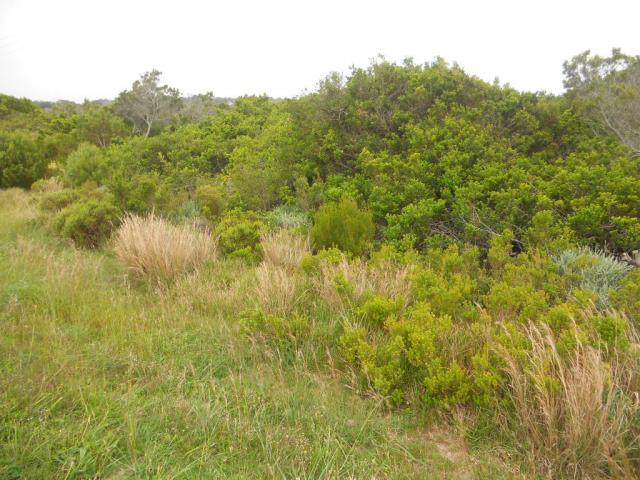 Front View of property in Humansdorp