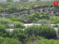 Land for Sale for sale in Struis Bay