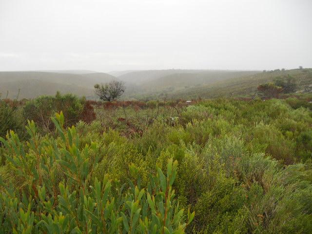 Front View of property in Parsons Vlei