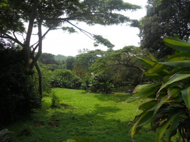 Land for Sale For Sale in Port Shepstone - Home Sell - MR080675