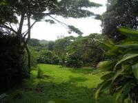 Land for Sale for sale in Port Shepstone