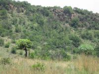 Backyard of property in Magaliesburg