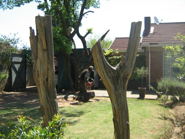 Front View of property in Boksburg