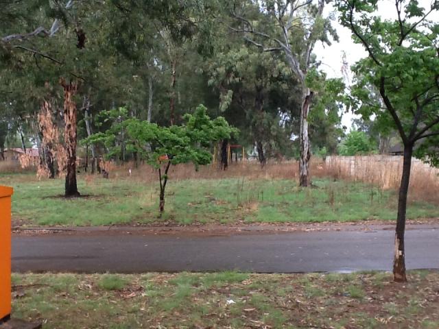 Land for Sale For Sale in Springs - Home Sell - MR081536