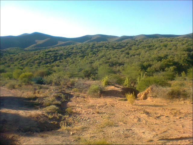 Smallholding for Sale For Sale in Oudtshoorn - Home Sell - MR081586