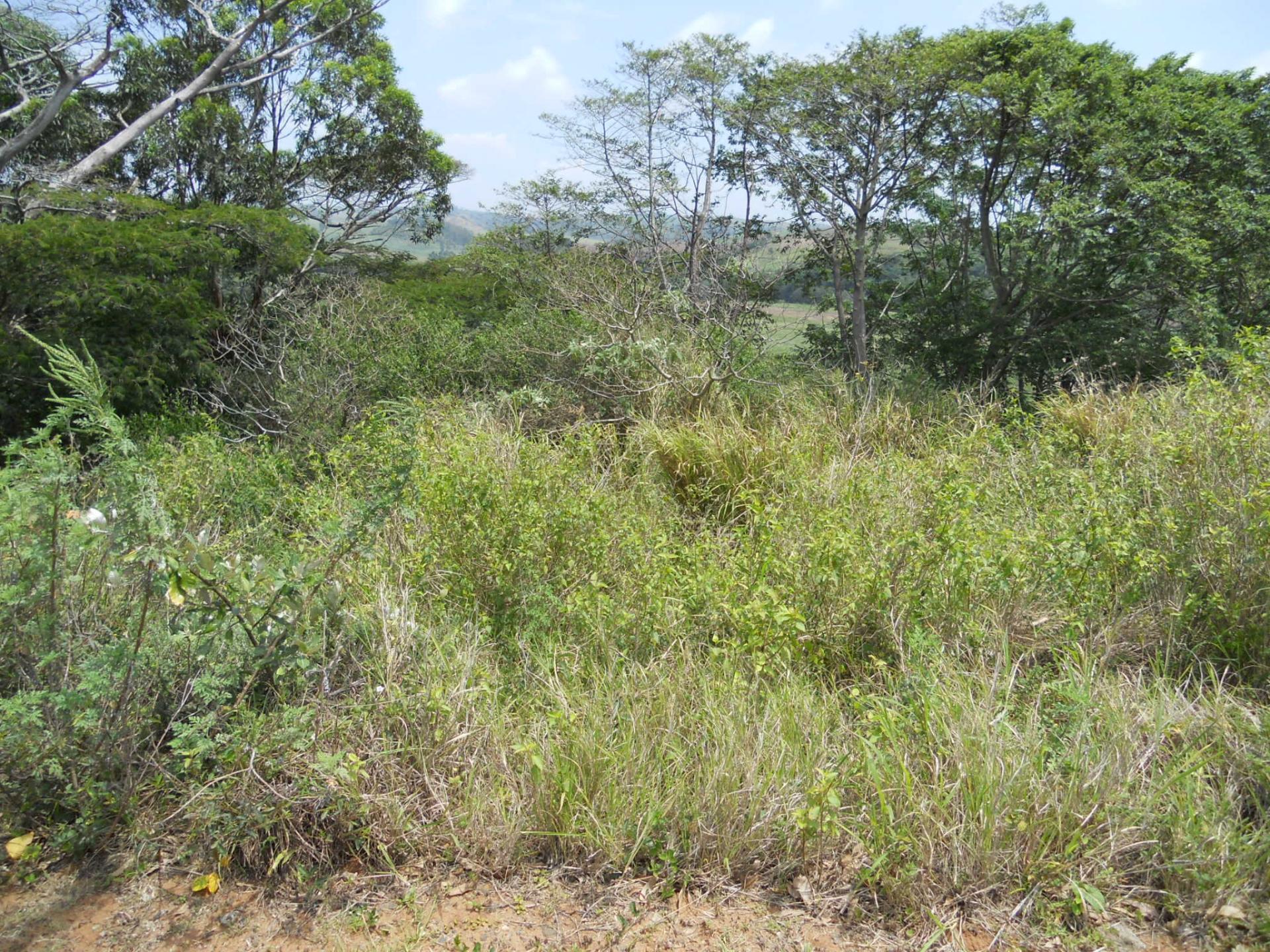 Front View of property in Port Shepstone