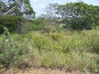 Land for Sale for sale in Port Shepstone