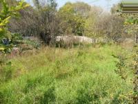 Backyard of property in Willowild