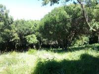 Land for Sale for sale in Faerie Glen