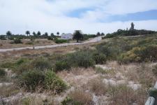 Backyard of property in Shelley Point