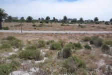 Backyard of property in Shelley Point