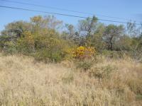 Front View of property in Hoedspruit