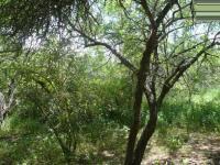 Front View of property in Marloth Park