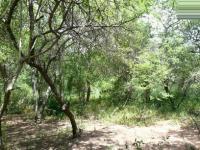 Front View of property in Marloth Park
