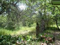 Front View of property in Marloth Park