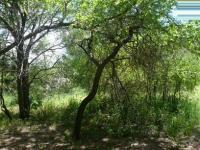 Front View of property in Marloth Park