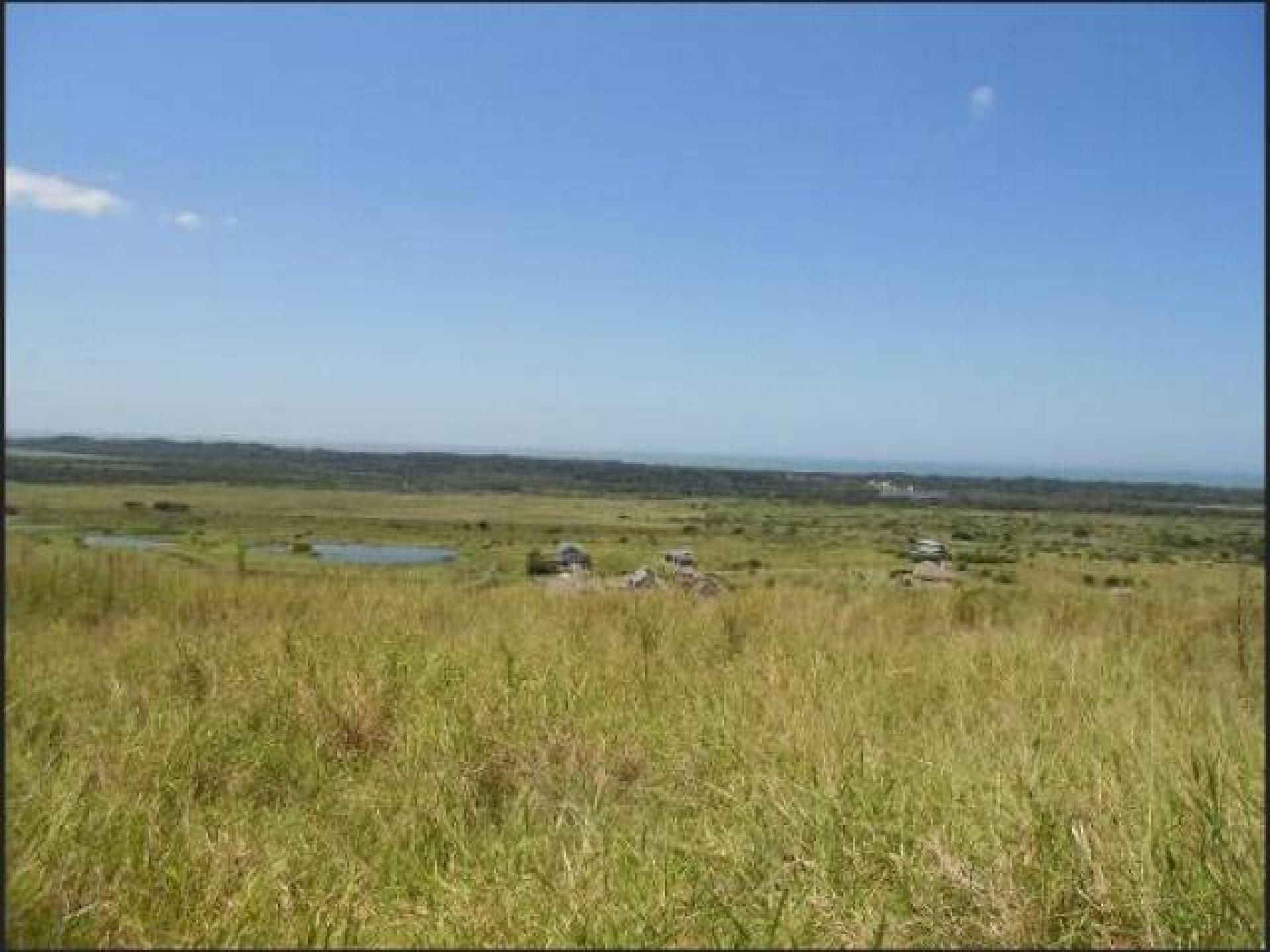 Front View of property in Mtunzini