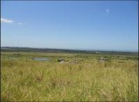 Front View of property in Mtunzini