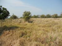 Front View of property in Mtunzini