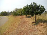 Front View of property in Mtunzini