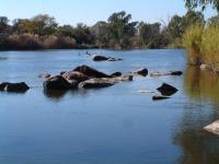 Backyard of property in Parys