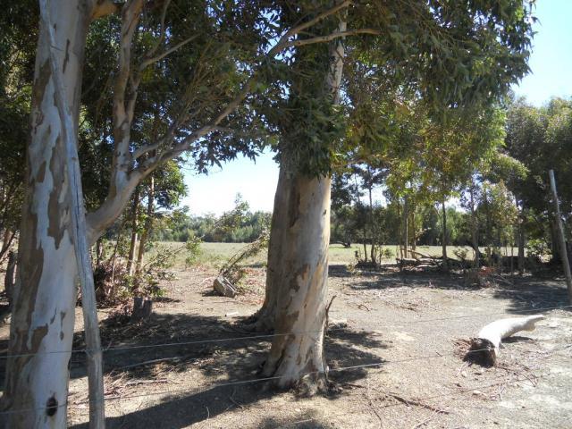 Land for Sale For Sale in Gordons Bay - Private Sale - MR088592