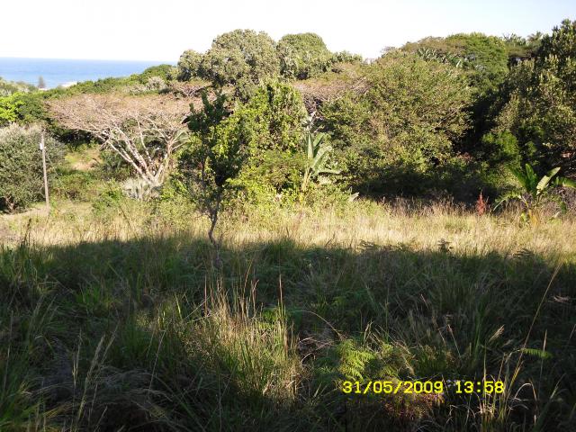 Land for Sale For Sale in Hibberdene - Private Sale - MR088654