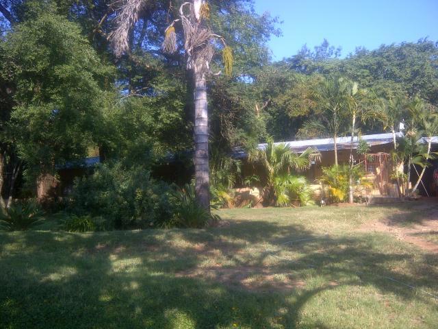 Farm for Sale For Sale in Tzaneen - Home Sell - MR088716