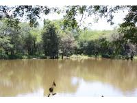 Backyard of property in Marloth Park