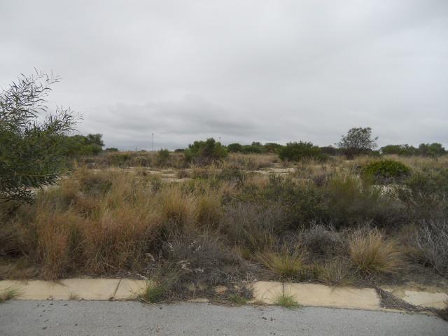 Land for Sale For Sale in Jeffrey's Bay - Private Sale - MR089034