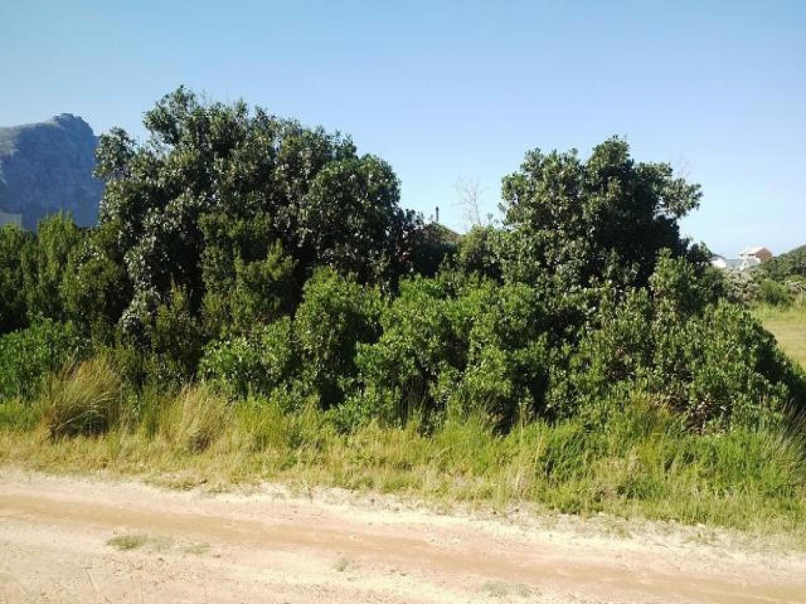 Front View of property in Bettys Bay