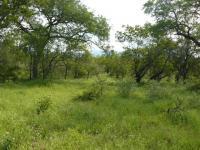 Front View of property in Hoedspruit