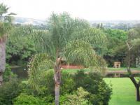 Backyard of property in Tiegerpoort