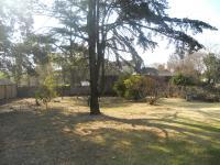 Backyard of property in Lyndhurst