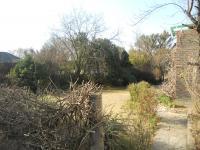 Garden of property in Lyndhurst