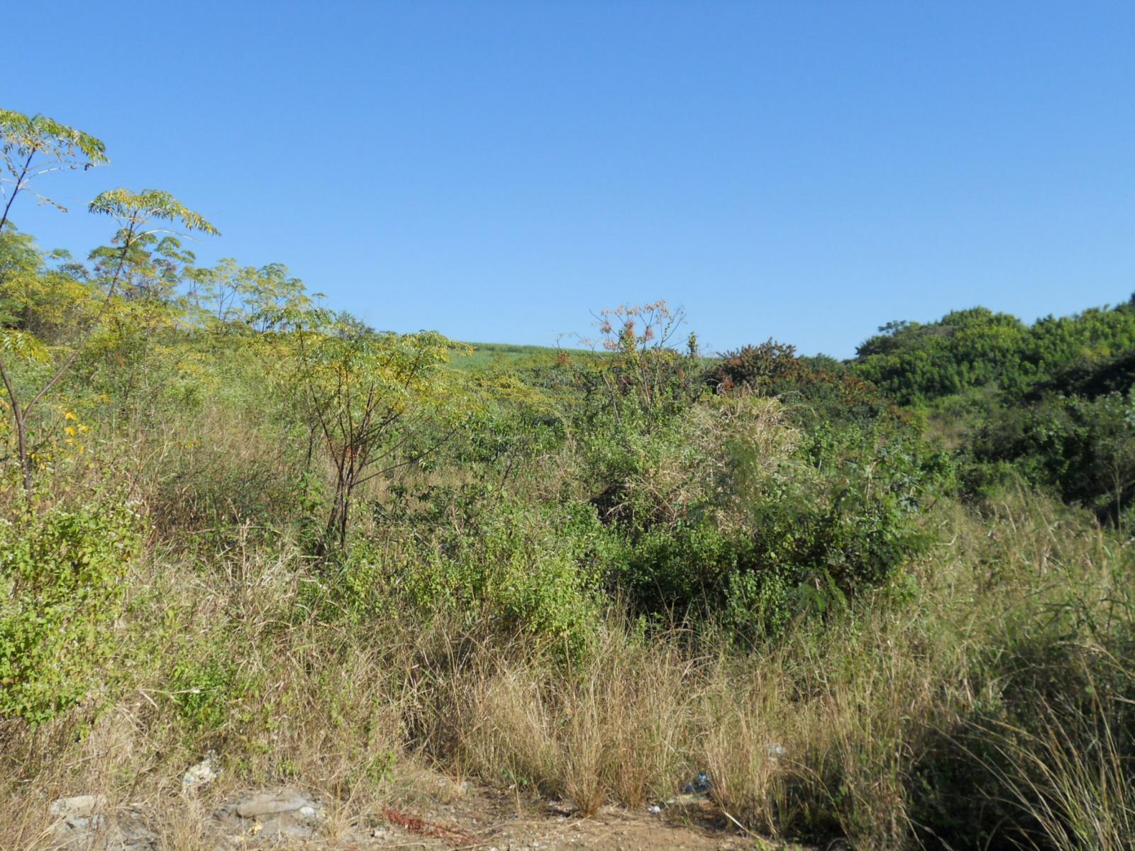 Front View of property in Tongaat