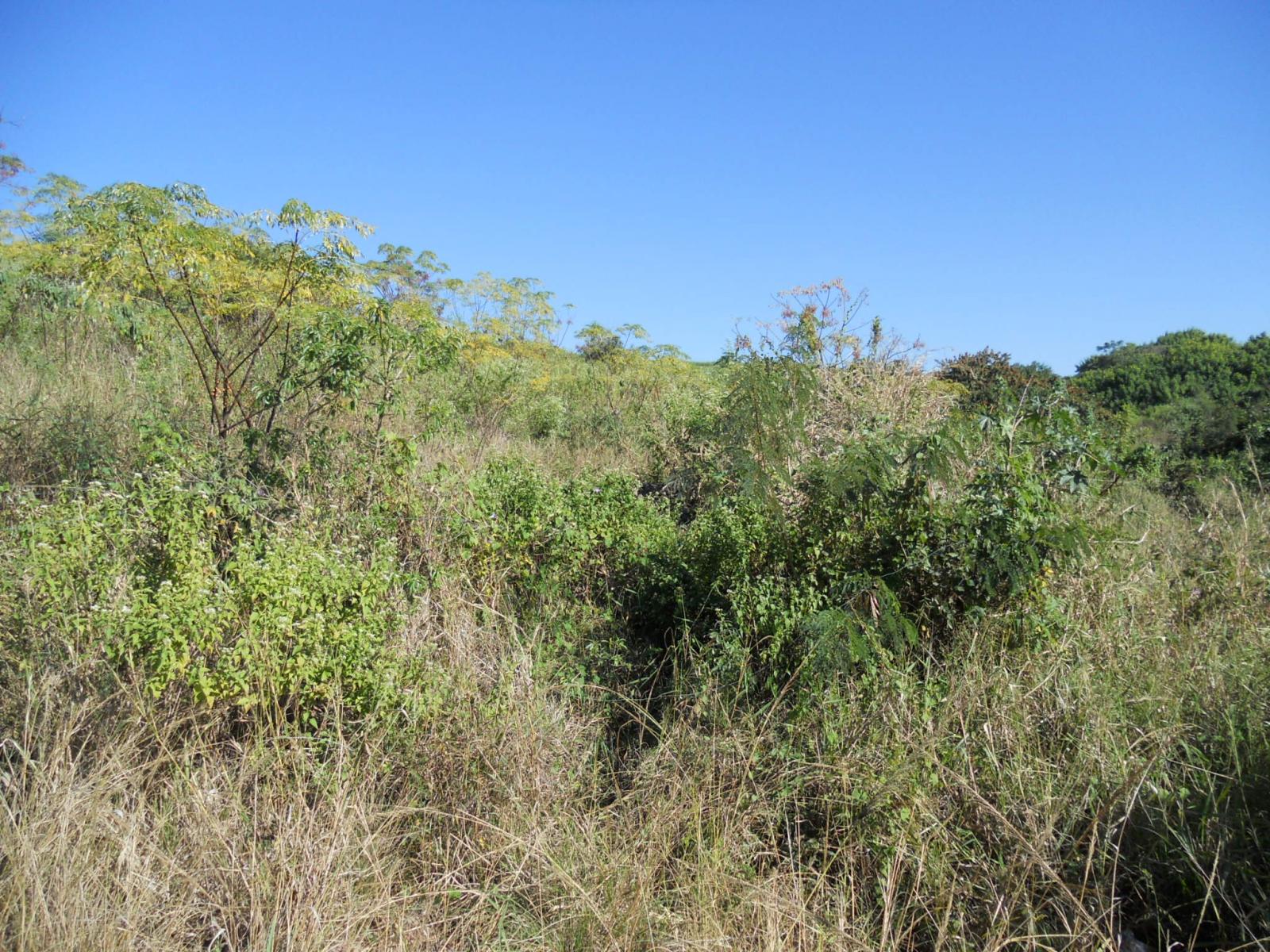 Front View of property in Tongaat