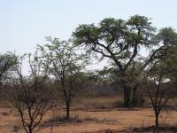 Land for Sale for sale in Kathu