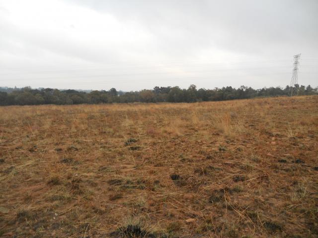 Standard Bank SIE Sale In Execution Land for Sale in Walkerville - MR092872