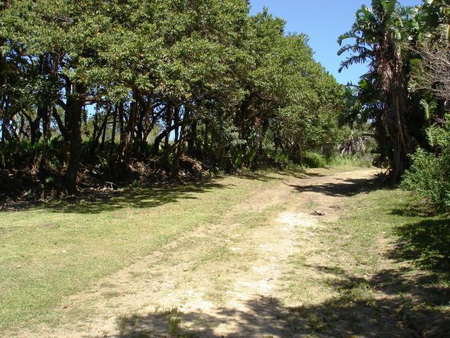 Land for Sale For Sale in Port Edward - Home Sell - MR092959