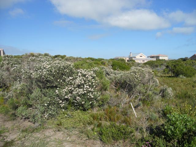 Land for Sale For Sale in Gansbaai - Home Sell - MR093239