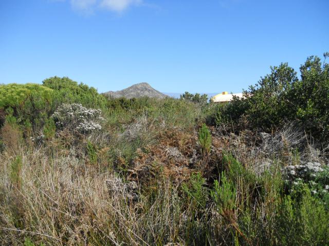 Land for Sale For Sale in Pringle Bay - Private Sale - MR093240