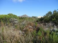 Front View of property in Pringle Bay