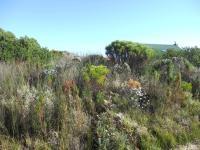 Front View of property in Pringle Bay