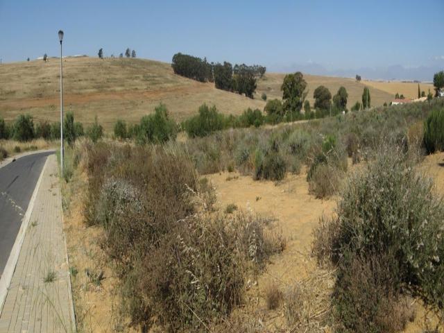 Land for Sale For Sale in Malmesbury - Home Sell - MR093359