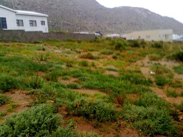 Land for Sale For Sale in Springbok - Private Sale - MR093551