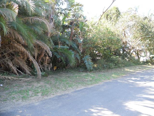 Land for Sale For Sale in Hibberdene - Private Sale - MR093631