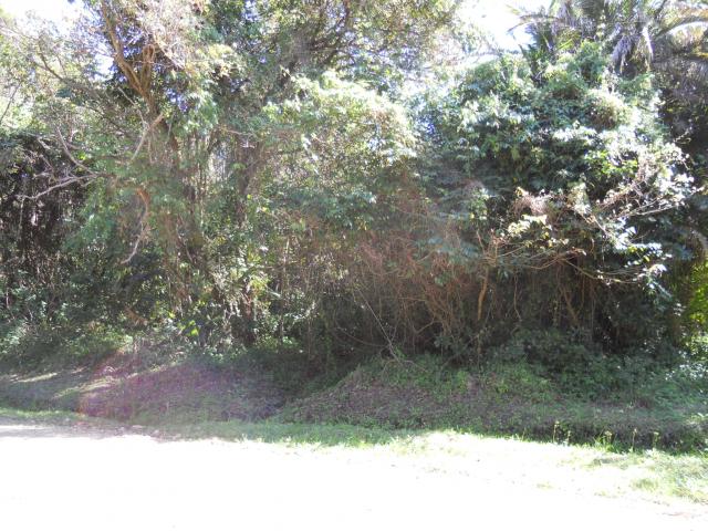 Land for Sale For Sale in Hibberdene - Private Sale - MR093632