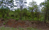 Land for Sale for sale in Hazyview